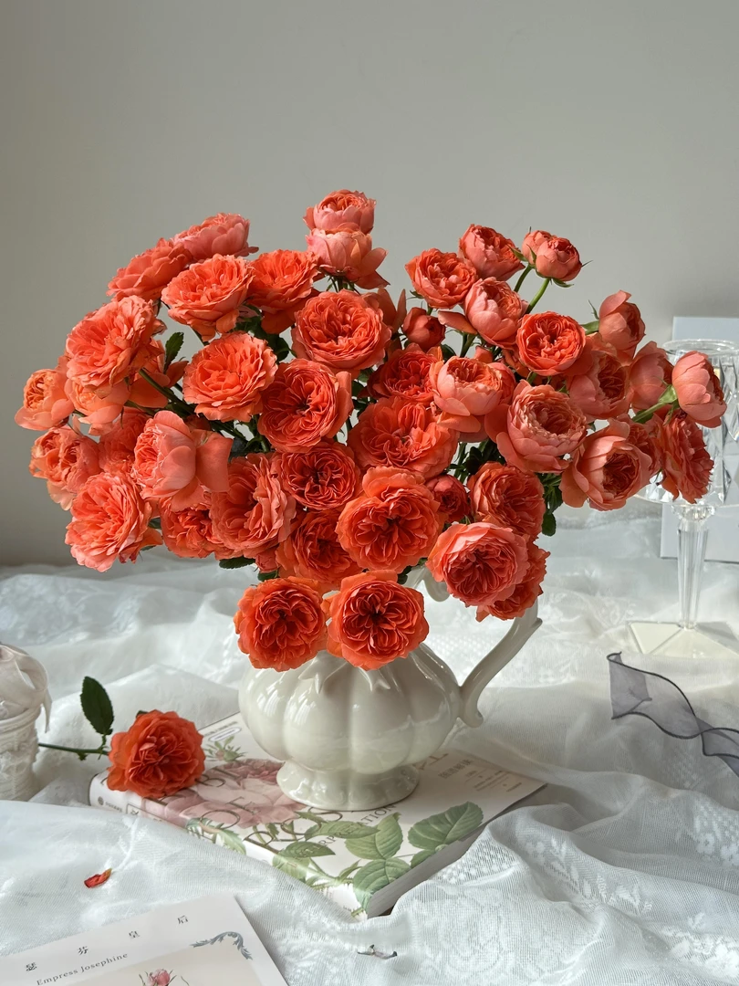 【买一送一】小头珊瑚果汁泡泡  多头玫瑰   云南基地鲜花直发