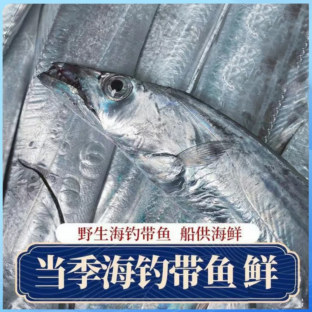 ZB1【海钓顶带】舟山野生小眼睛海钓带鱼海鲜整条发货半斤左右/条整箱顺丰发货