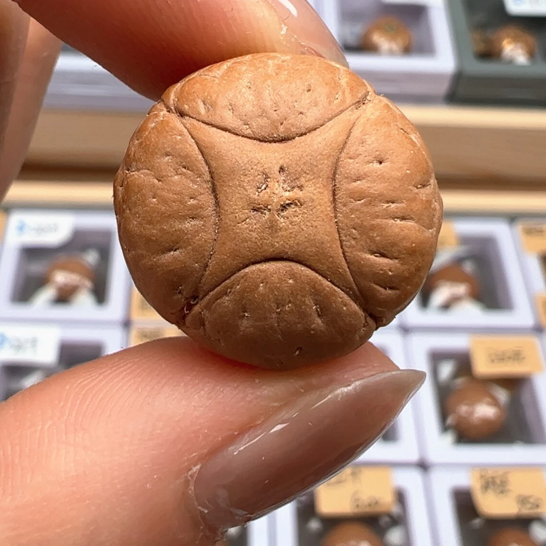 凤眼菩提吊坠小*麒麟尺寸20➕打孔不退 不换