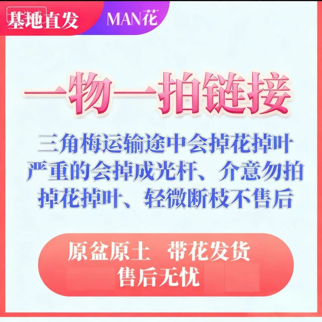 一物一拍   不包活   无售后