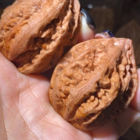 把件文玩核桃东北野生楸子小美47