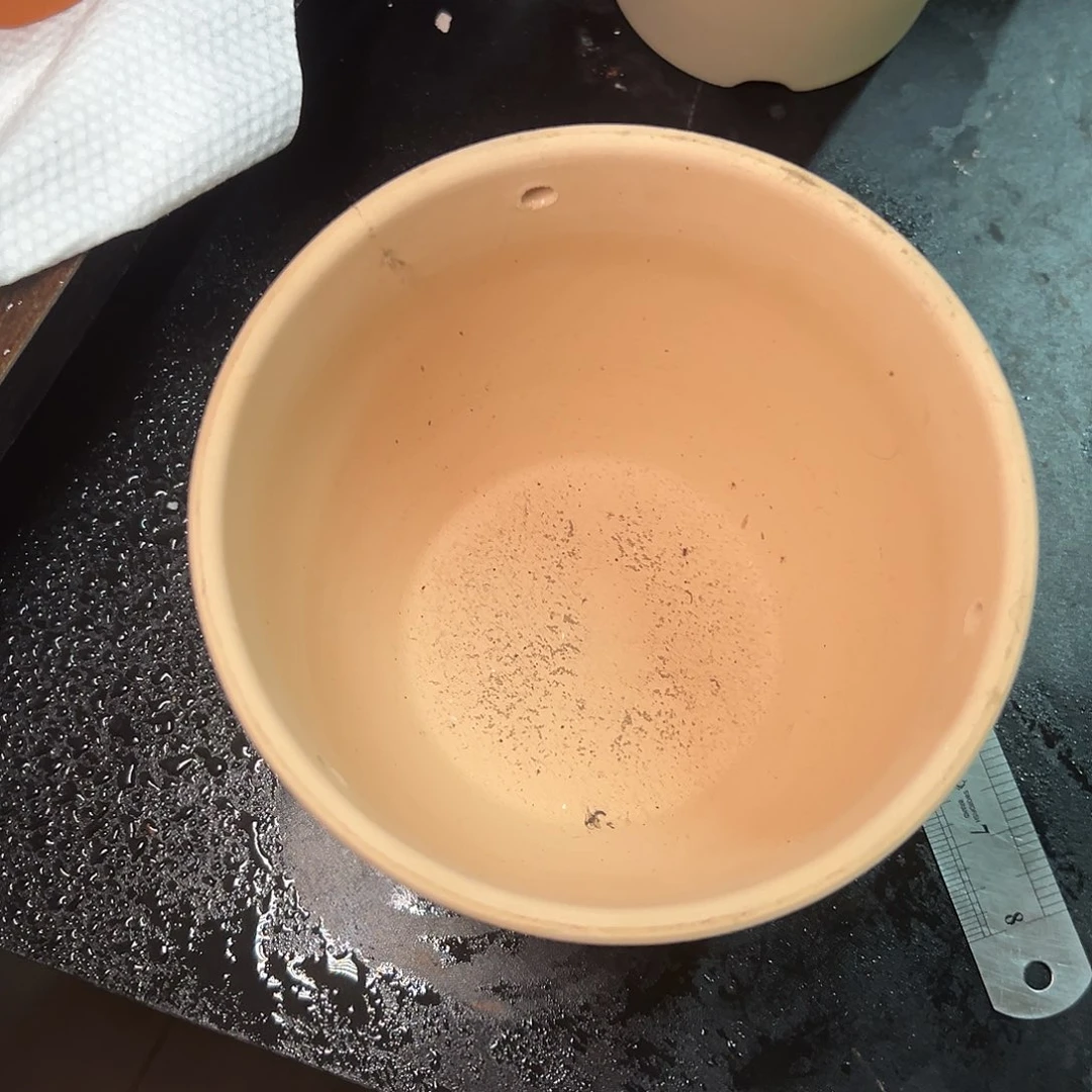 吊盆18口14高1个【微瑕】