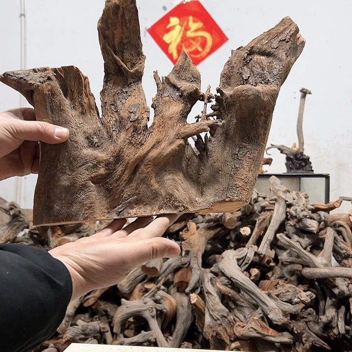 柏木佛**中我们都是好孩子呀我也