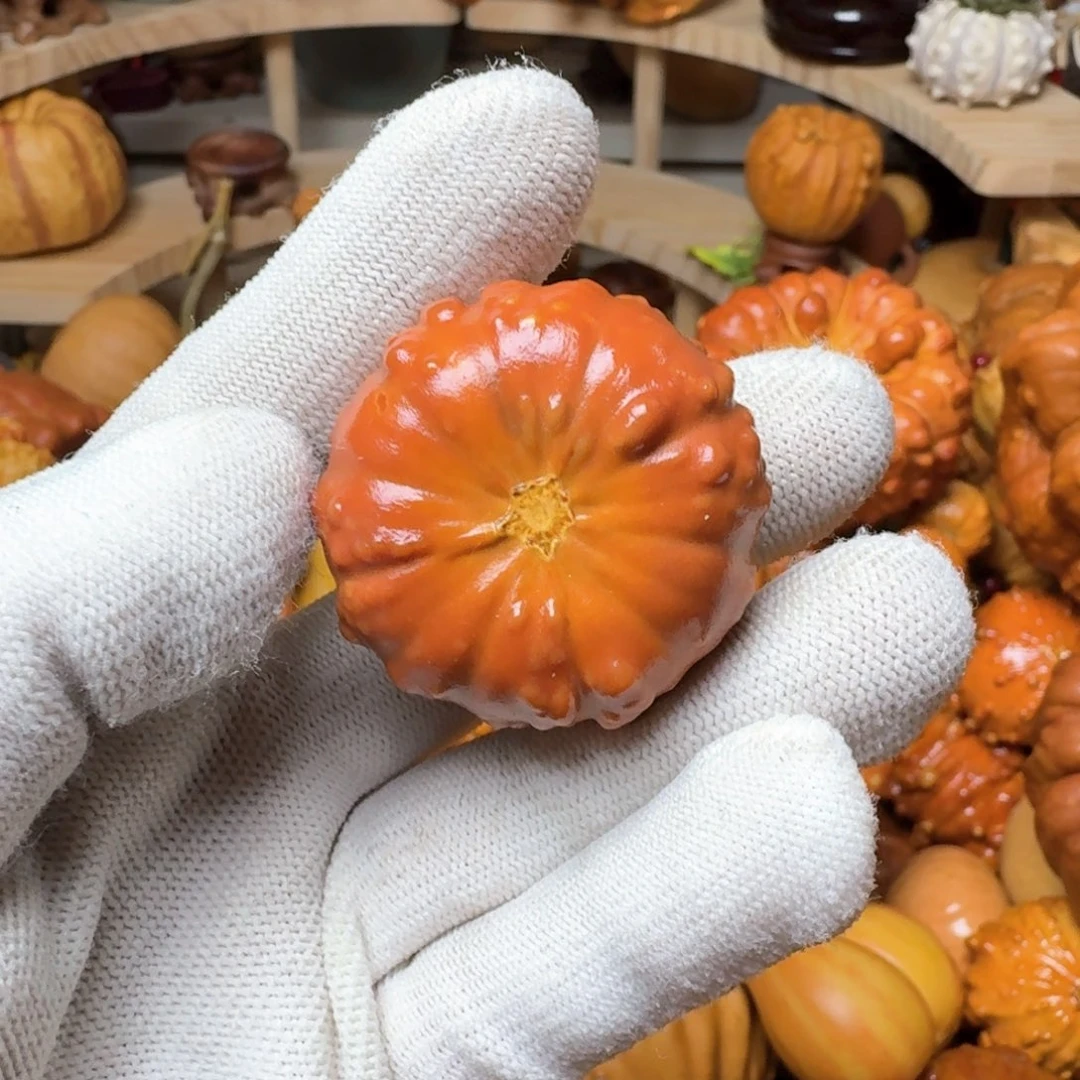 壳*特价葫芦不退不换