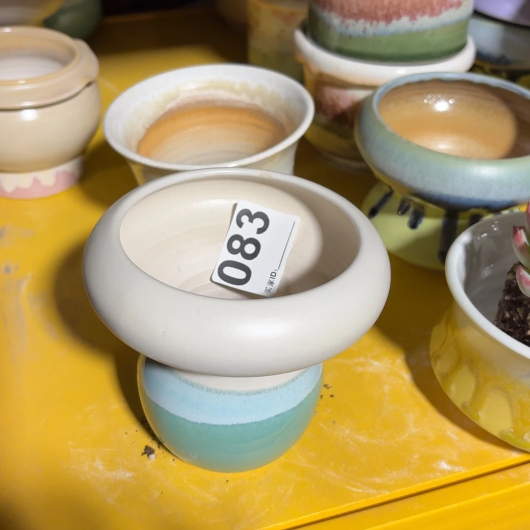 淡景德镇多肉花盆083