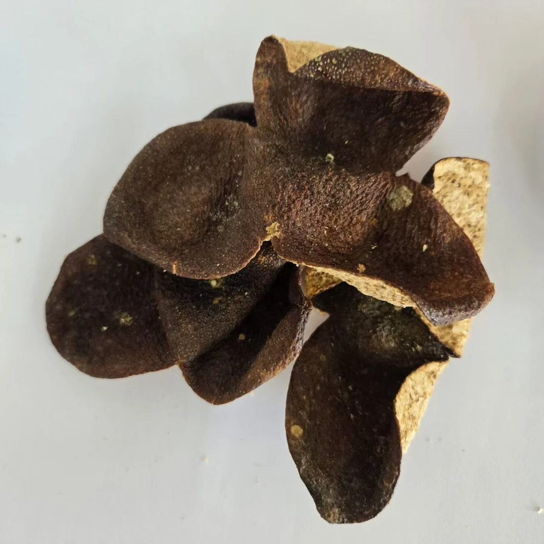 2023塞口围梅江新会陈皮100%正品产地直销特产干仓中秋回家手礼