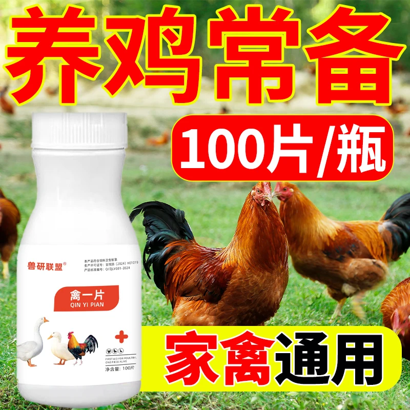 禽一片鸡鸭鹅鸽子禽类兔子常见问题养殖家养通用产品饲料添加剂