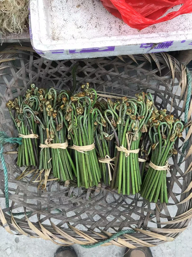 蕨菜野生蔬菜云依赶集