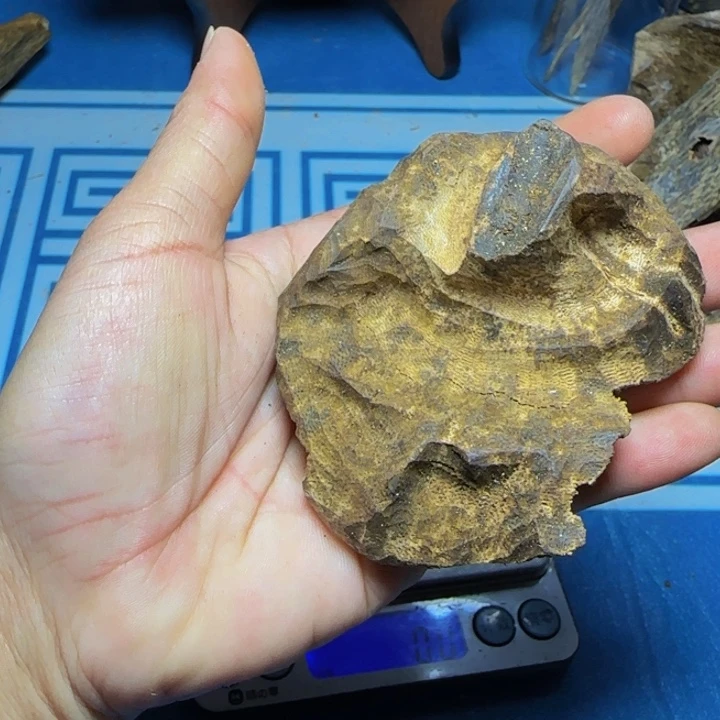 l***g木质母树绿奇陆河包头19克