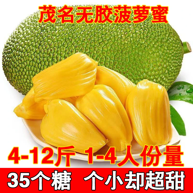 广东茂名常有无胶珍珠菠萝蜜迷你小菠萝蜜茂名本地整个菠萝蜜包邮
