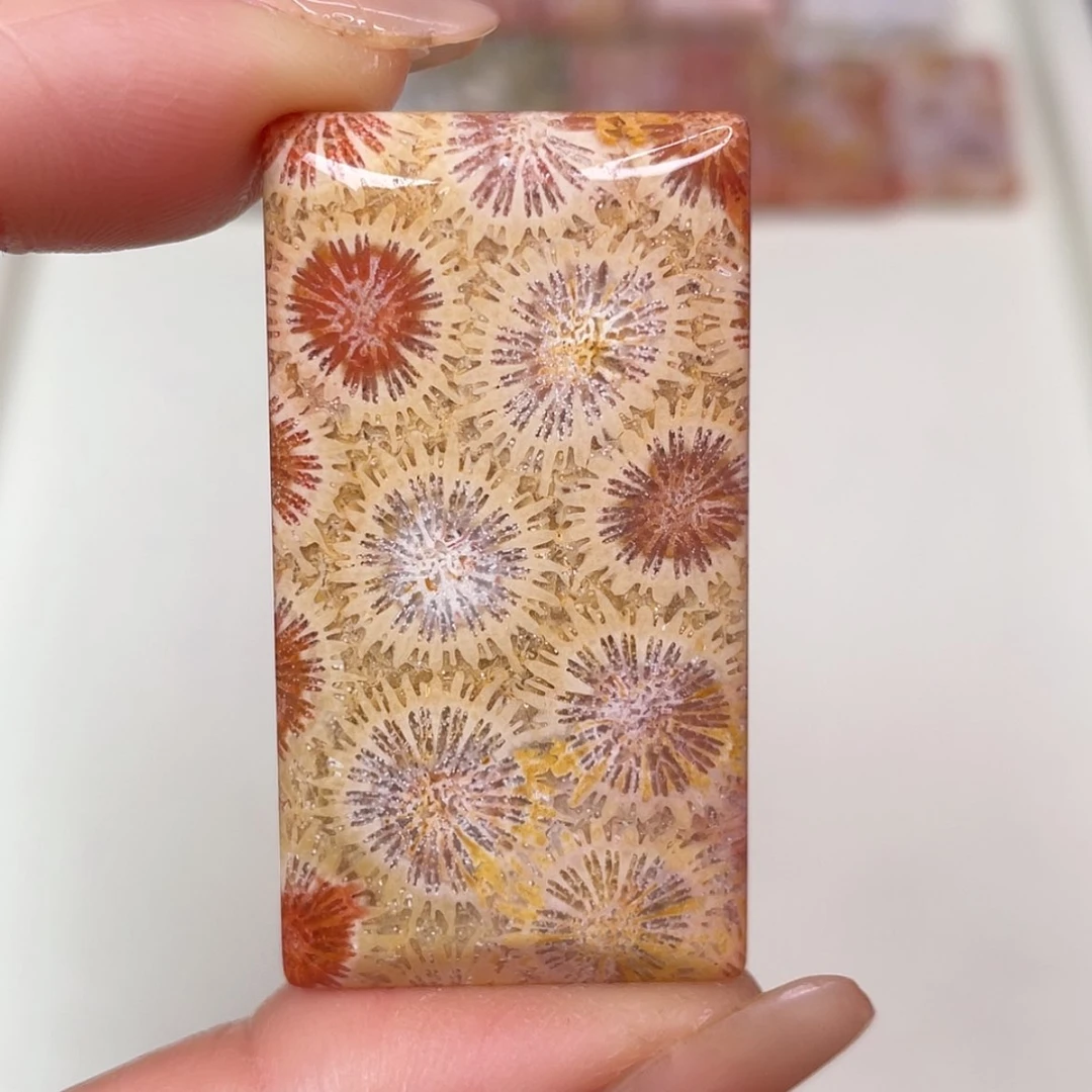 【闪购商品】未镶嵌吊坠(赠链)硅化玉