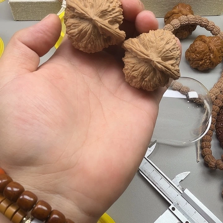 金刚菩提吊坠白狮子