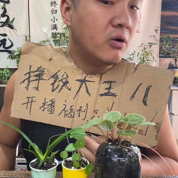 无花朵退款拉黑拉黑1