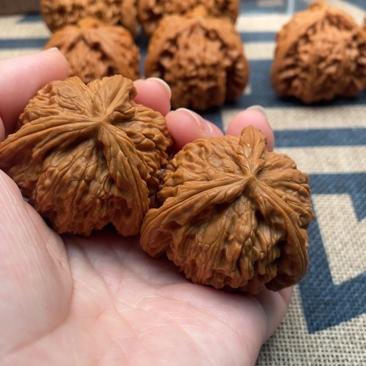 伟***大核桃白狮子43核桃