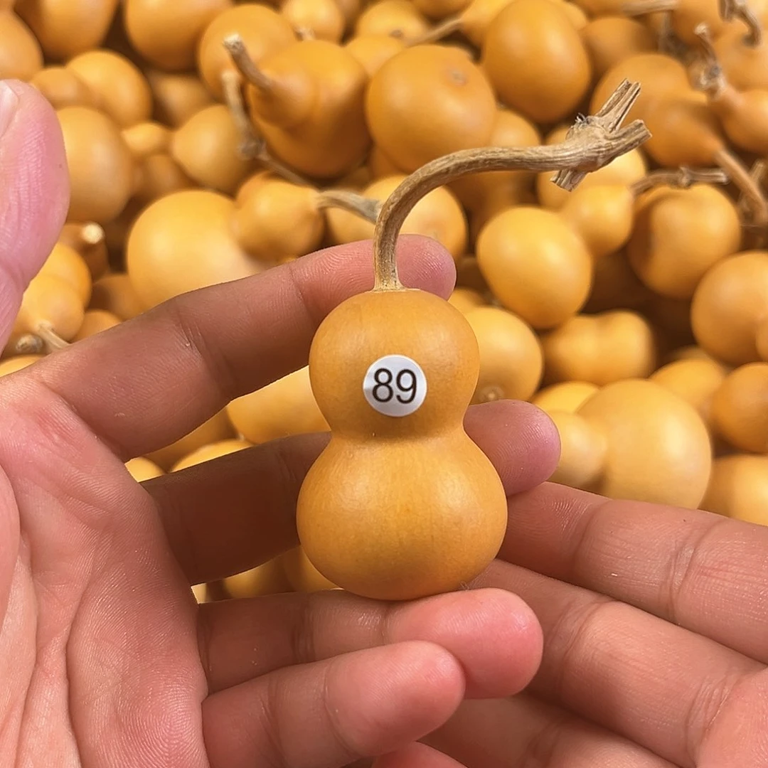 一葫芦葫芦葫芦葫芦89