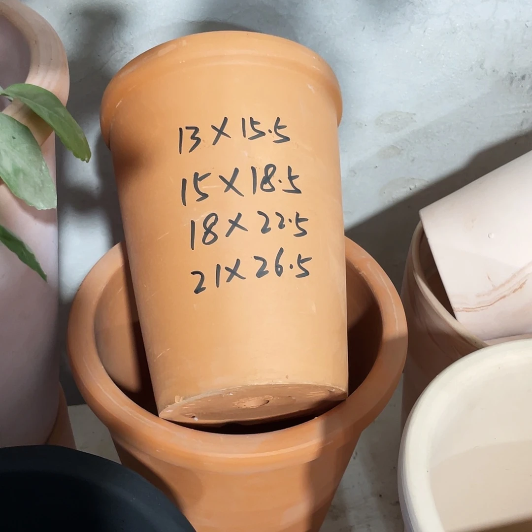 口13×15.5      红陶发1