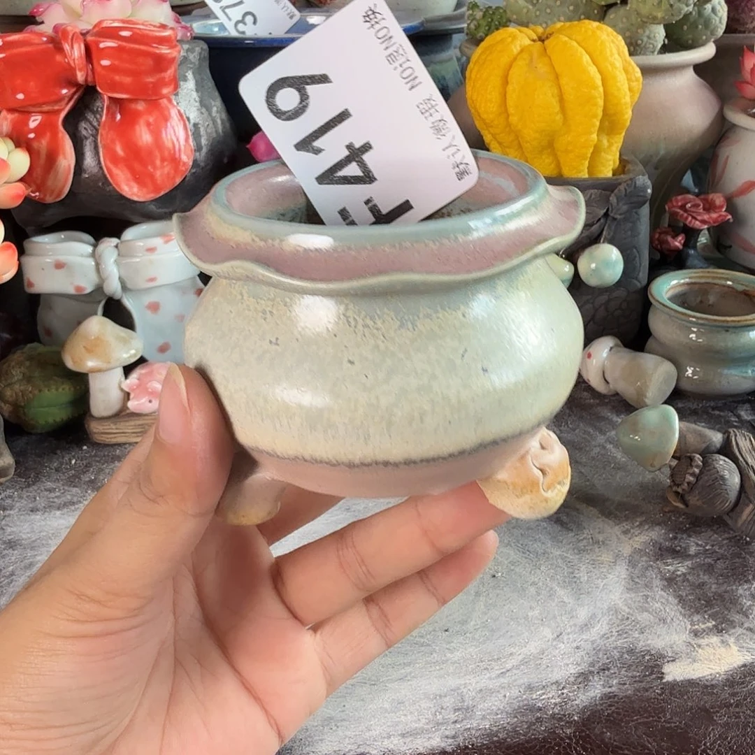 重庆小燕子欢迎大家419