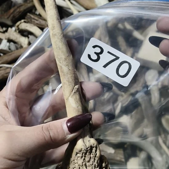 用***7鹿角鹿角鹿角鹿角鹿角鹿角