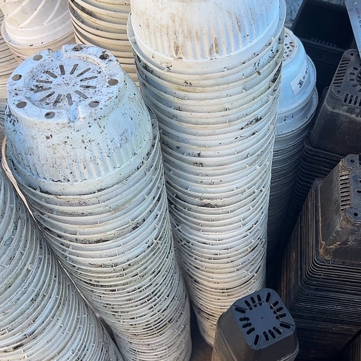 白色聚宝盆口径15高7.5福利12个