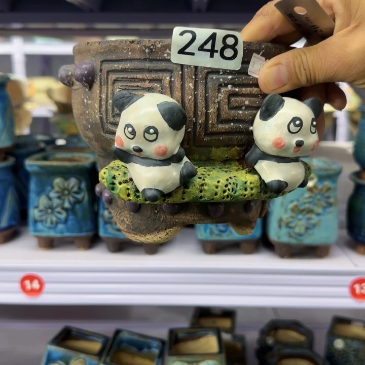 田小姐多肉花盆1个