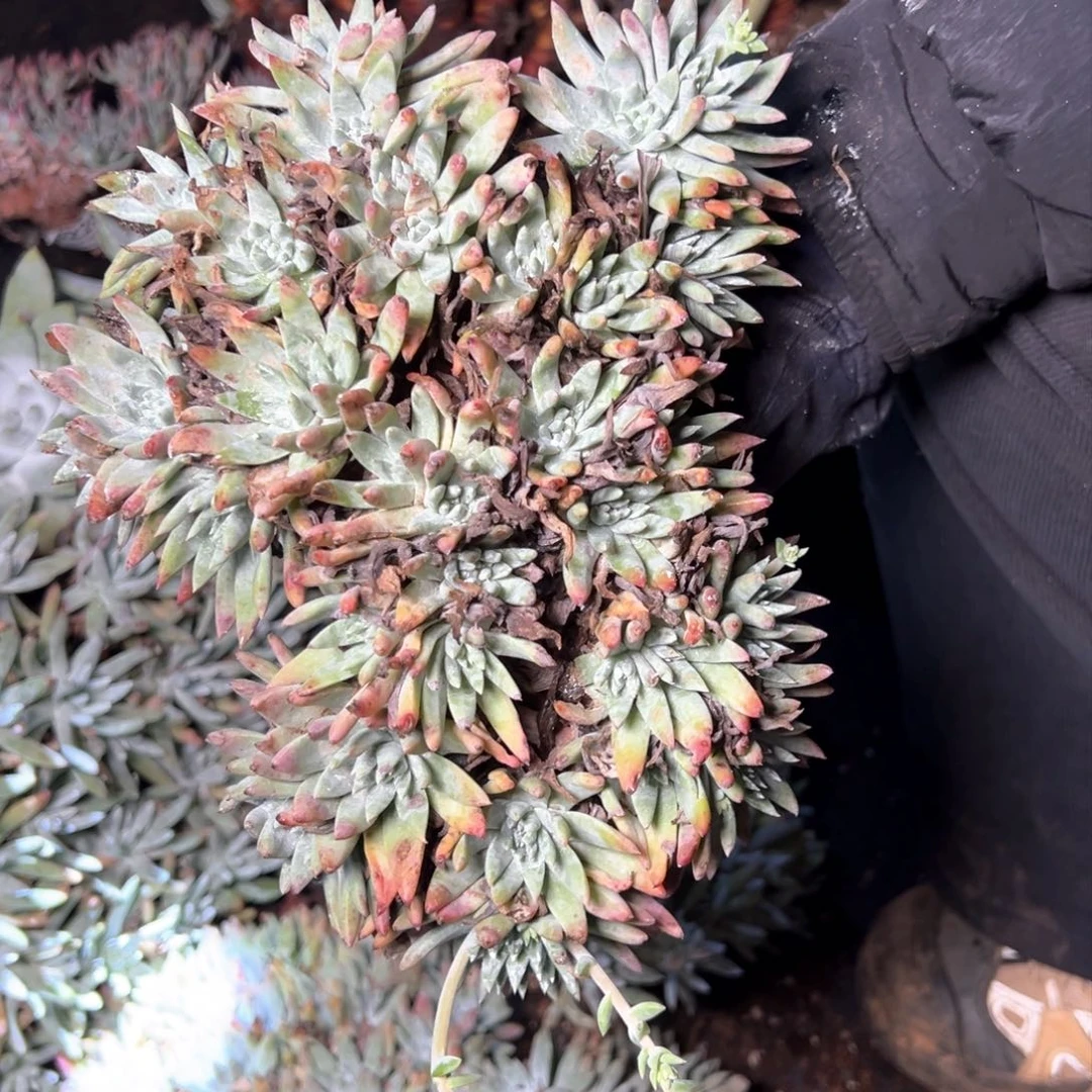 5236哈哈哈哈哈哈哈哈