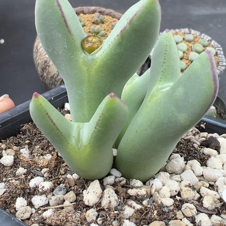 326号1111111111111111