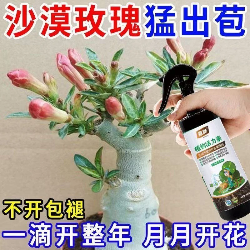 一滴猛开】沙漠玫瑰营养液催花绿叶壮苗急救黄叶干尖不开花专用肥