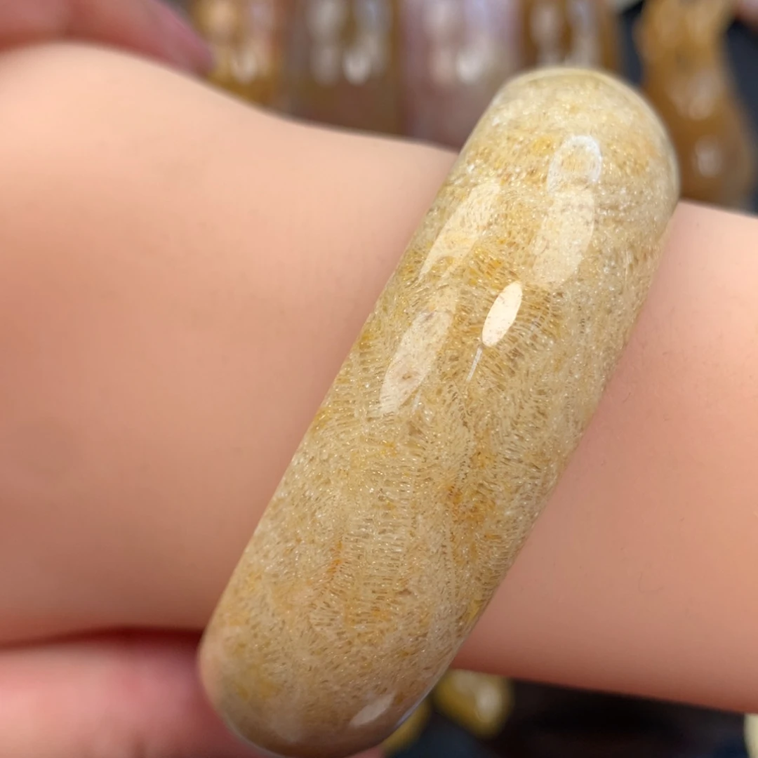 未镶嵌手镯硅化珊瑚（珊瑚玉）55-57圈