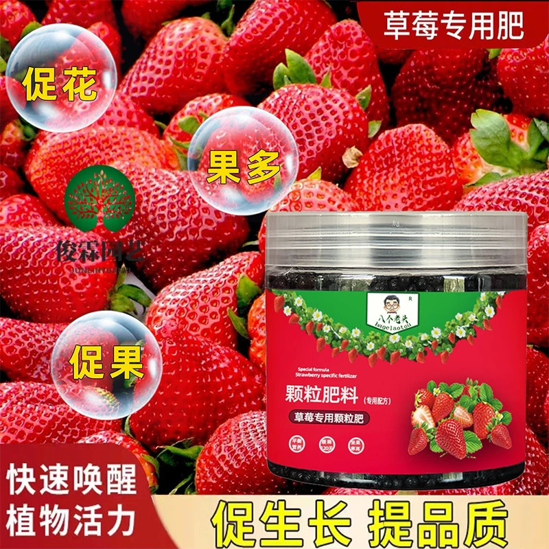 草莓肥料专用肥家用盆栽通用型缓释复合有机肥颗粒坐果期增甜土培