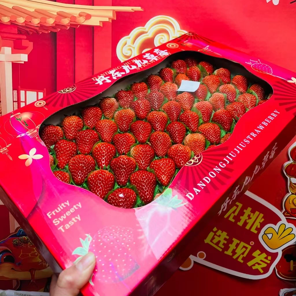 年货节春节礼盒限定，丹东99草莓礼盒4.5斤毛重大果