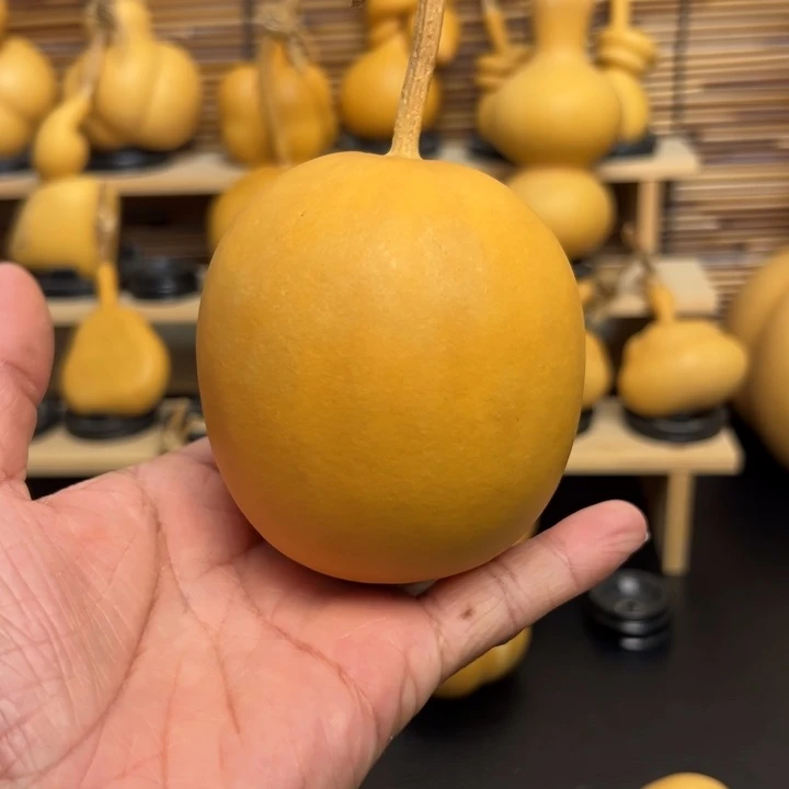 是***～223666588999999999