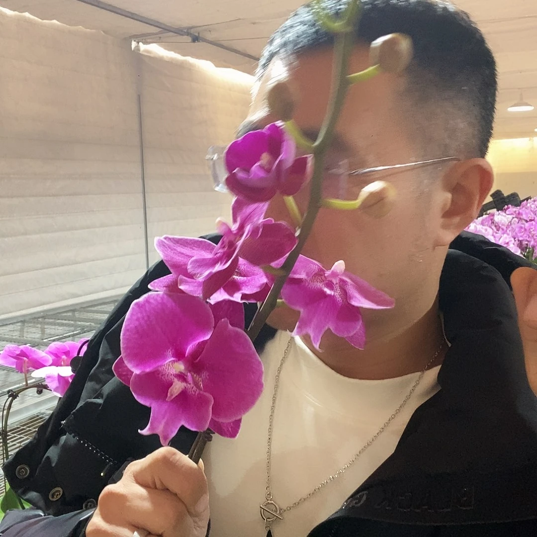 完全开放小龙兰大舌头花苞多1颗个别消苞