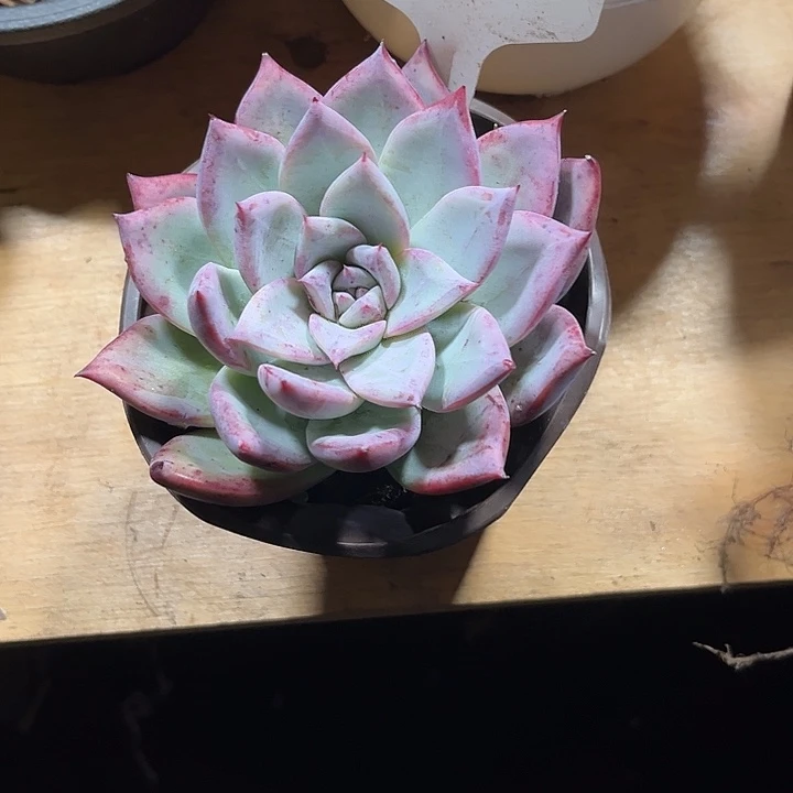 家***兴0000000000000000872