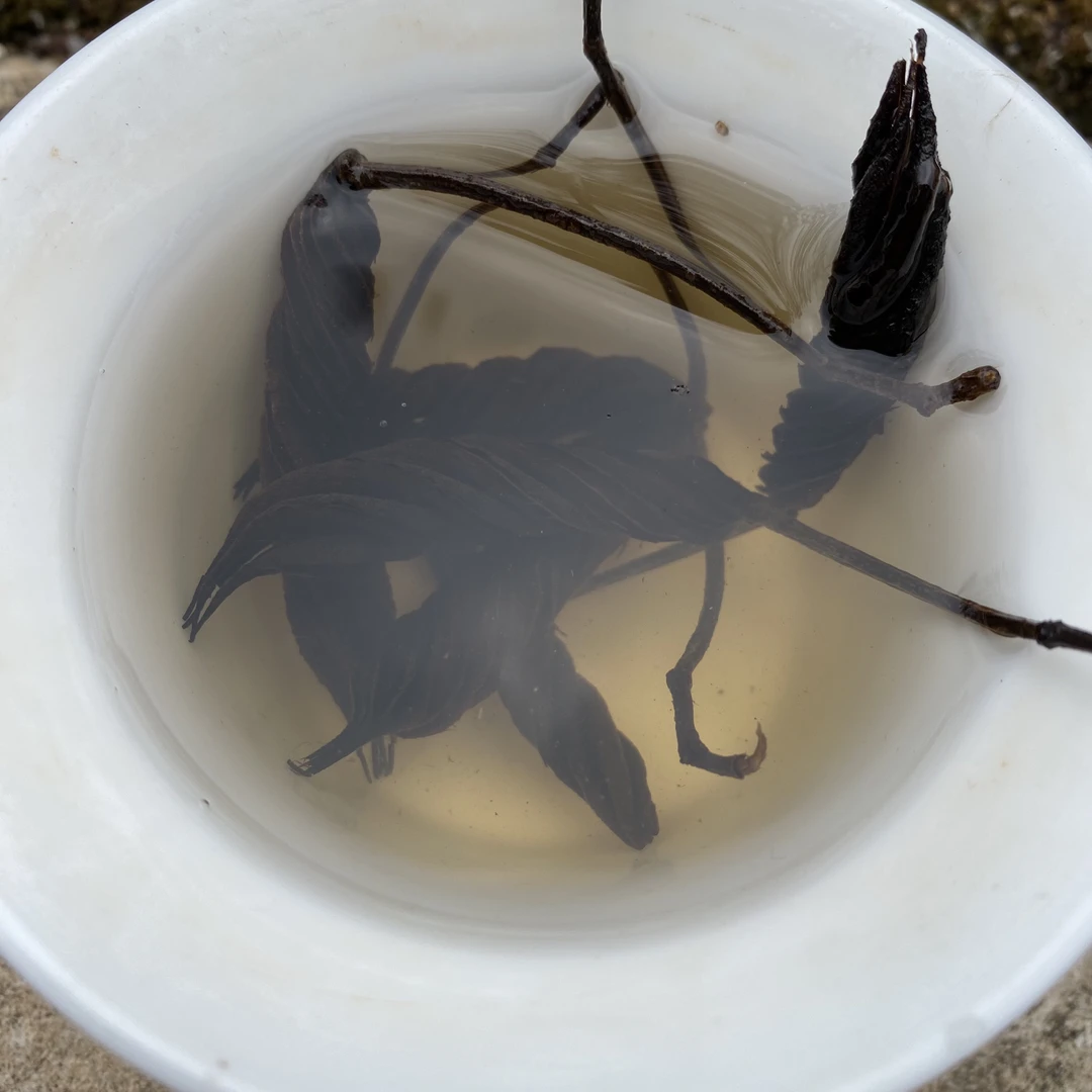 【土特产䖝草】王净含量250g起