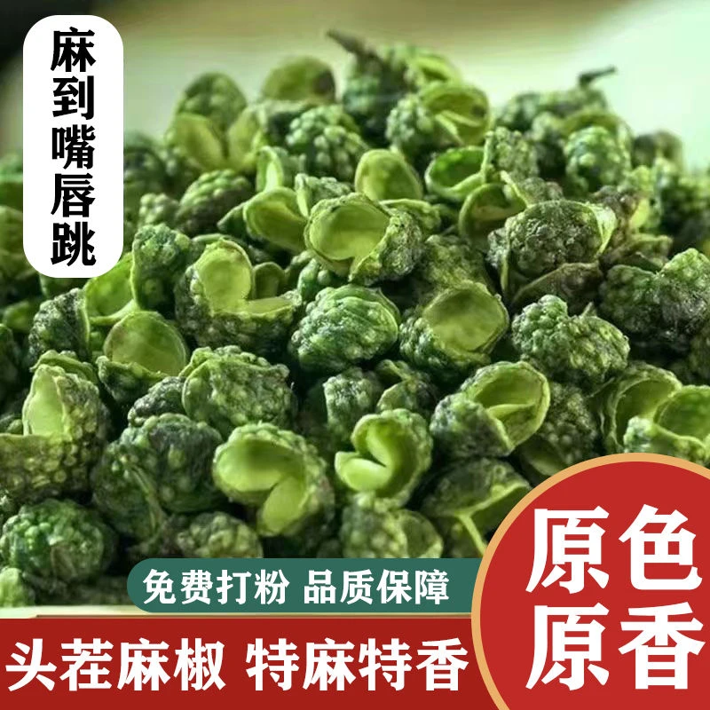 高原山坡上的野花椒野生青花椒中缅边境