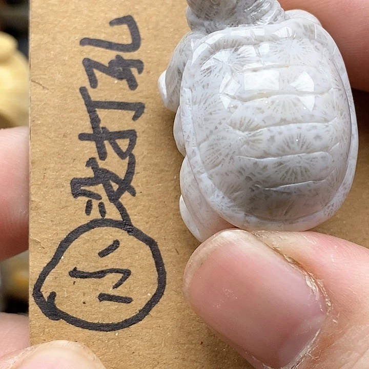 颈饰未镶嵌硅化珊瑚（珊瑚玉）