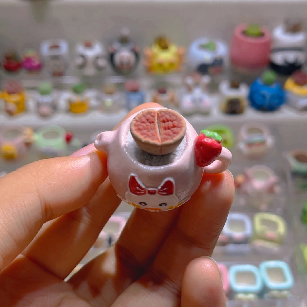 050高端多肉带盆土一套26