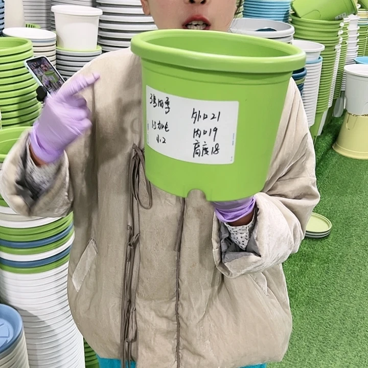 特价3号四季口21高18果绿10只无托