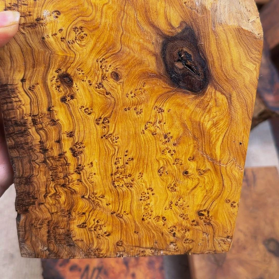 木夜**忆鬼柳尖叶木栖榄