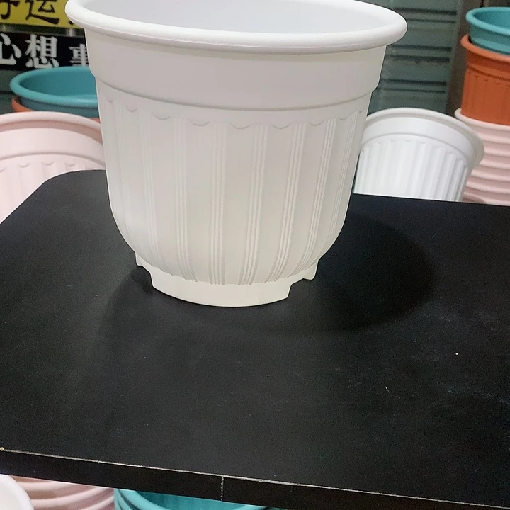 罗马口21白4个无托
