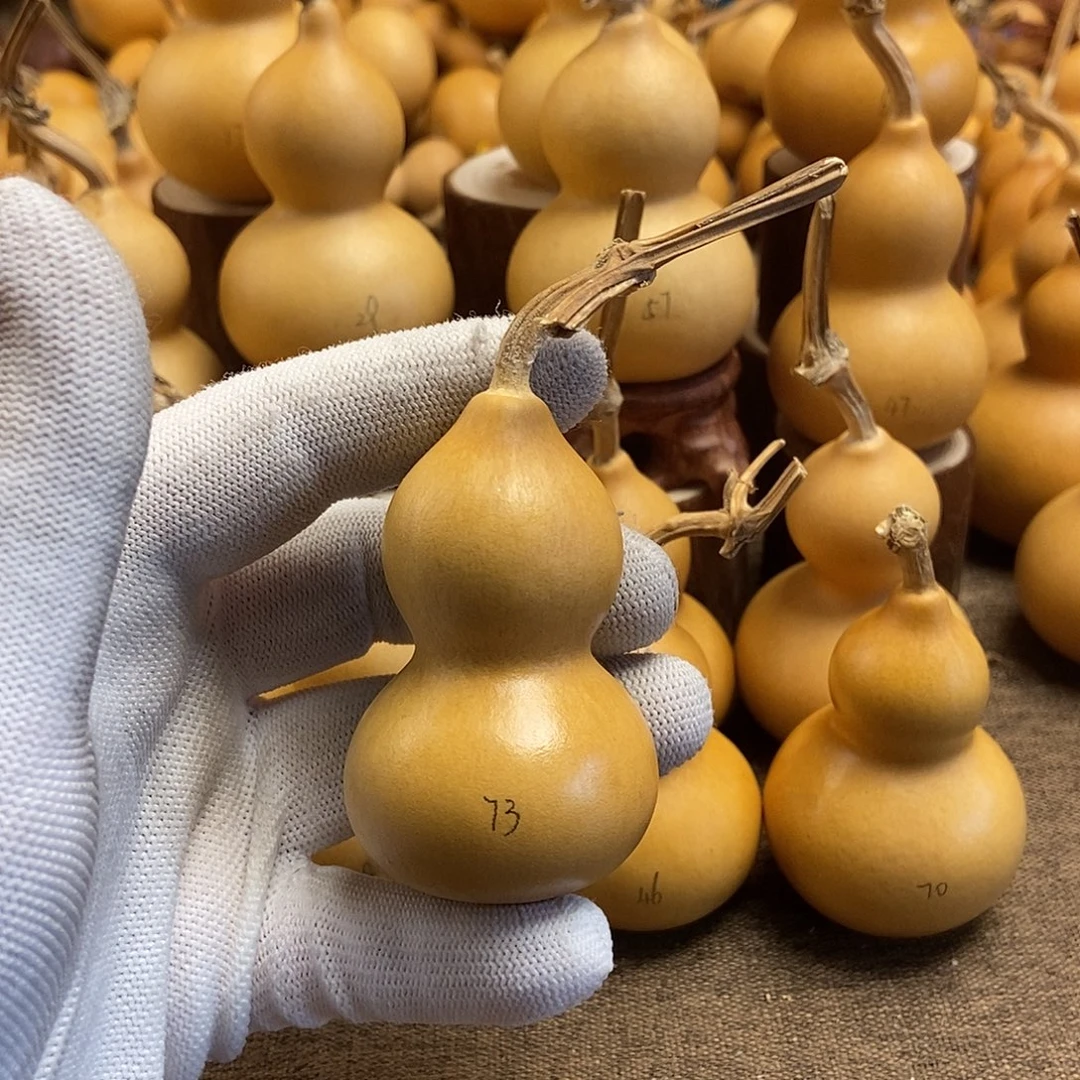 文玩葫芦 完美主义者 慎拍73