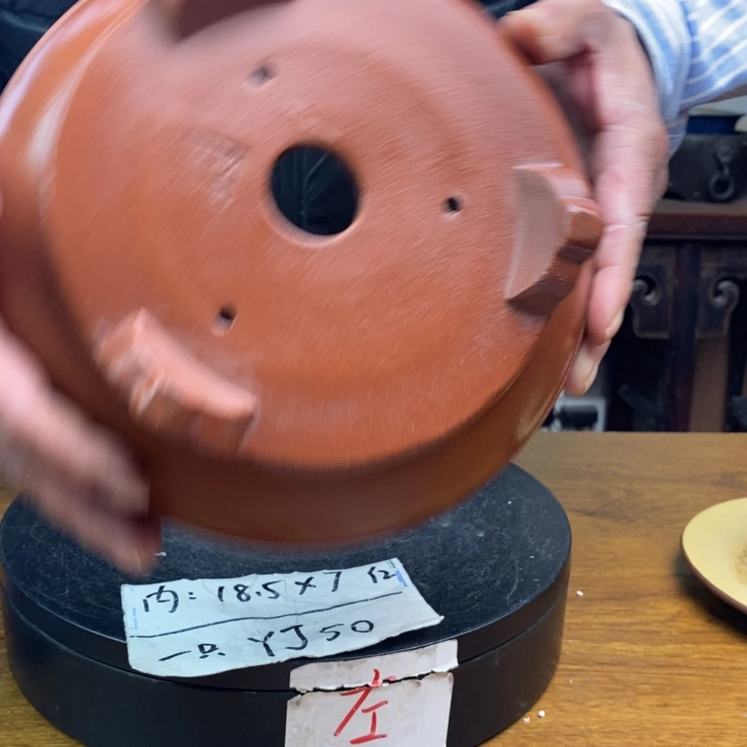 红陶货号一只YJ50