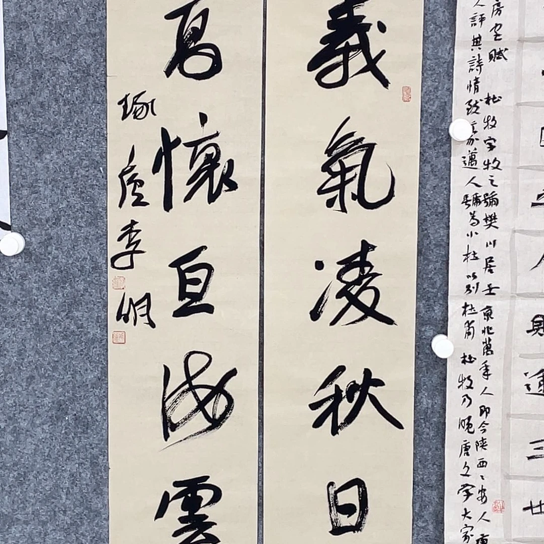 书法半醒斋书法作品