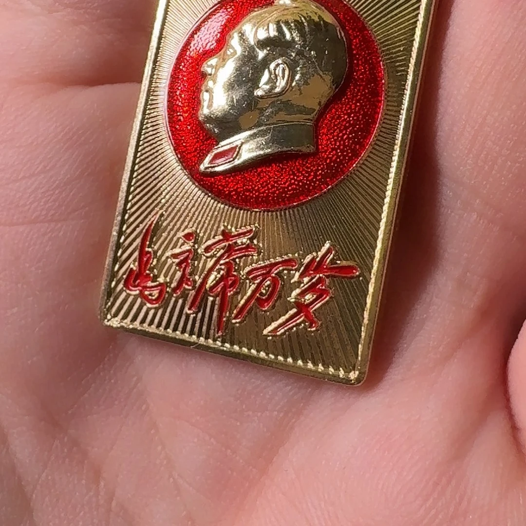 用***9一枚铝制徽章闪拍