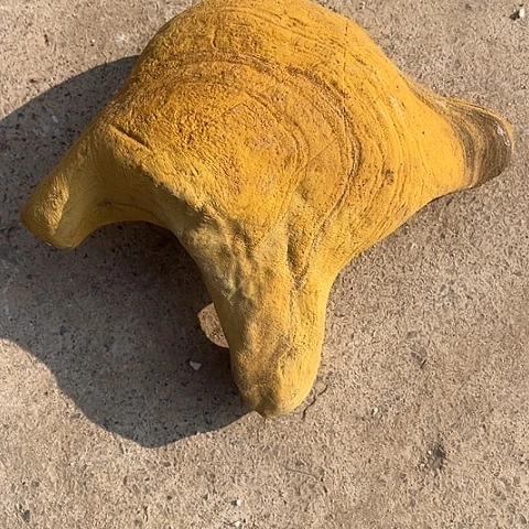 无花朵人**途家居装修效果图