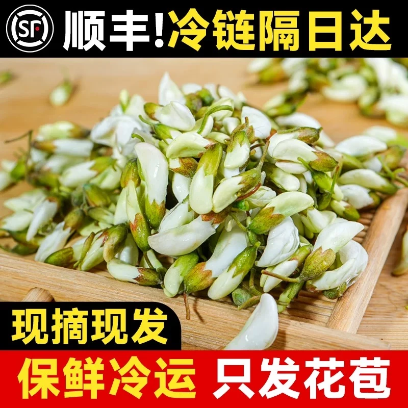 【现摘】山区槐花现摘野生新鲜洋槐花纯天然生长野菜可食花骨朵饺子