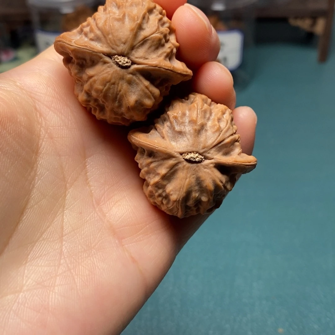 核桃37尺瓷娃娃修