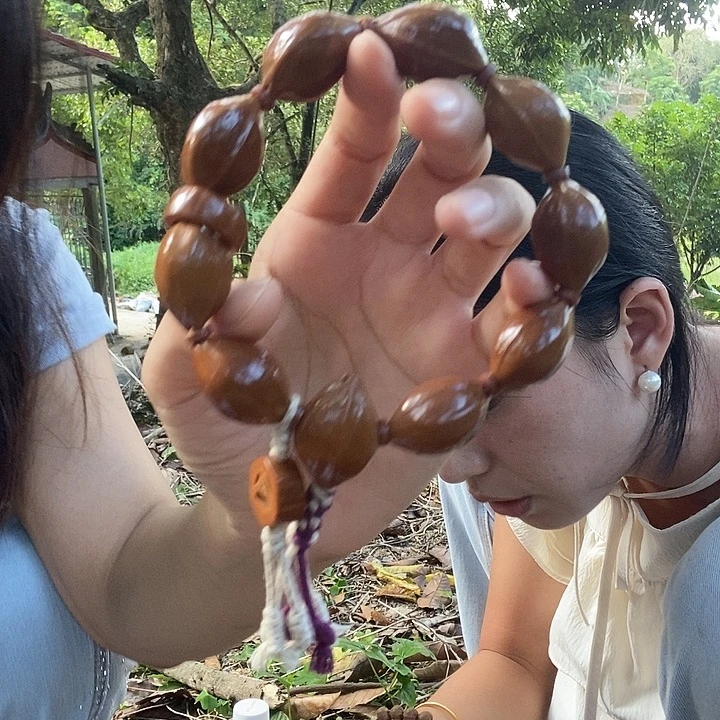 橄榄核吊坠正宗梅林铁核