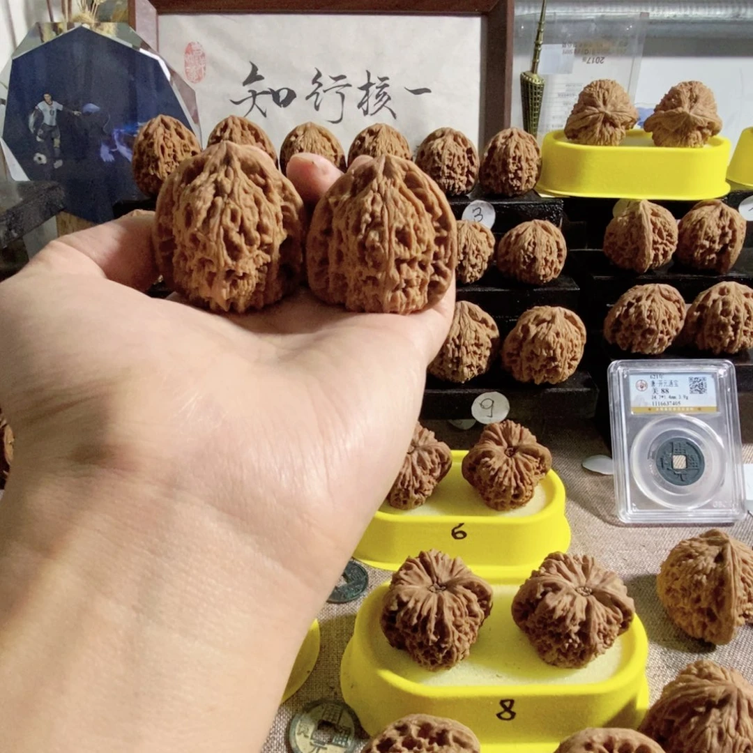 木质类41一代凹三角