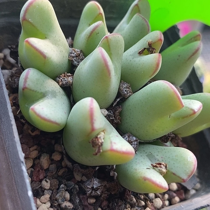 这么多年过去都过去好几5026